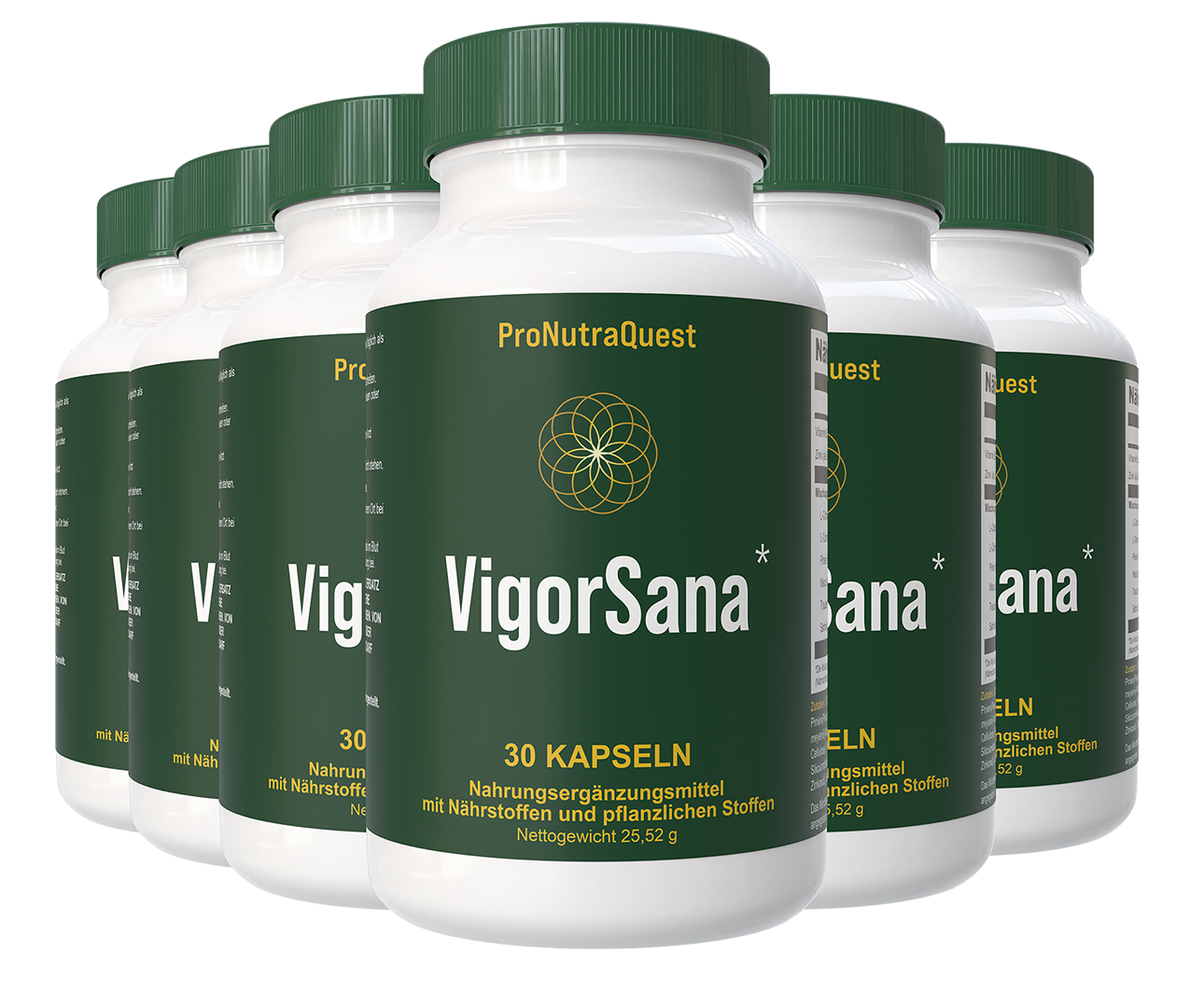 VigorSana